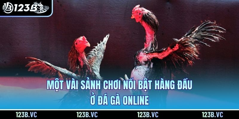 Một vài sảnh chơi nổi bật hàng đầu ở đá gà online