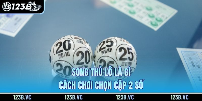 Song thủ lô là gì, cách chơi chọn cặp 2 số